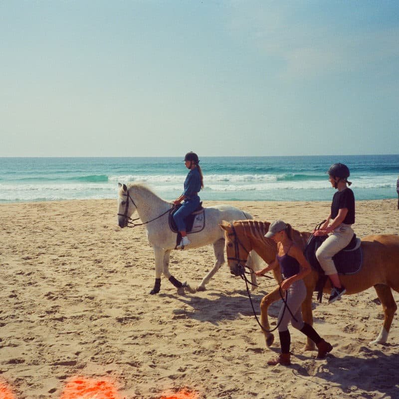Horse Ride
